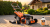 GATEC GT 353 N KS LY196