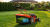 GATEC GT 353 N KS LY196