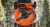 GATEC GT 353 N KS H200