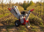 HORTMASZ HRGS ST 100 L212