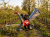 HORTMASZ HRGS ST 120 L420